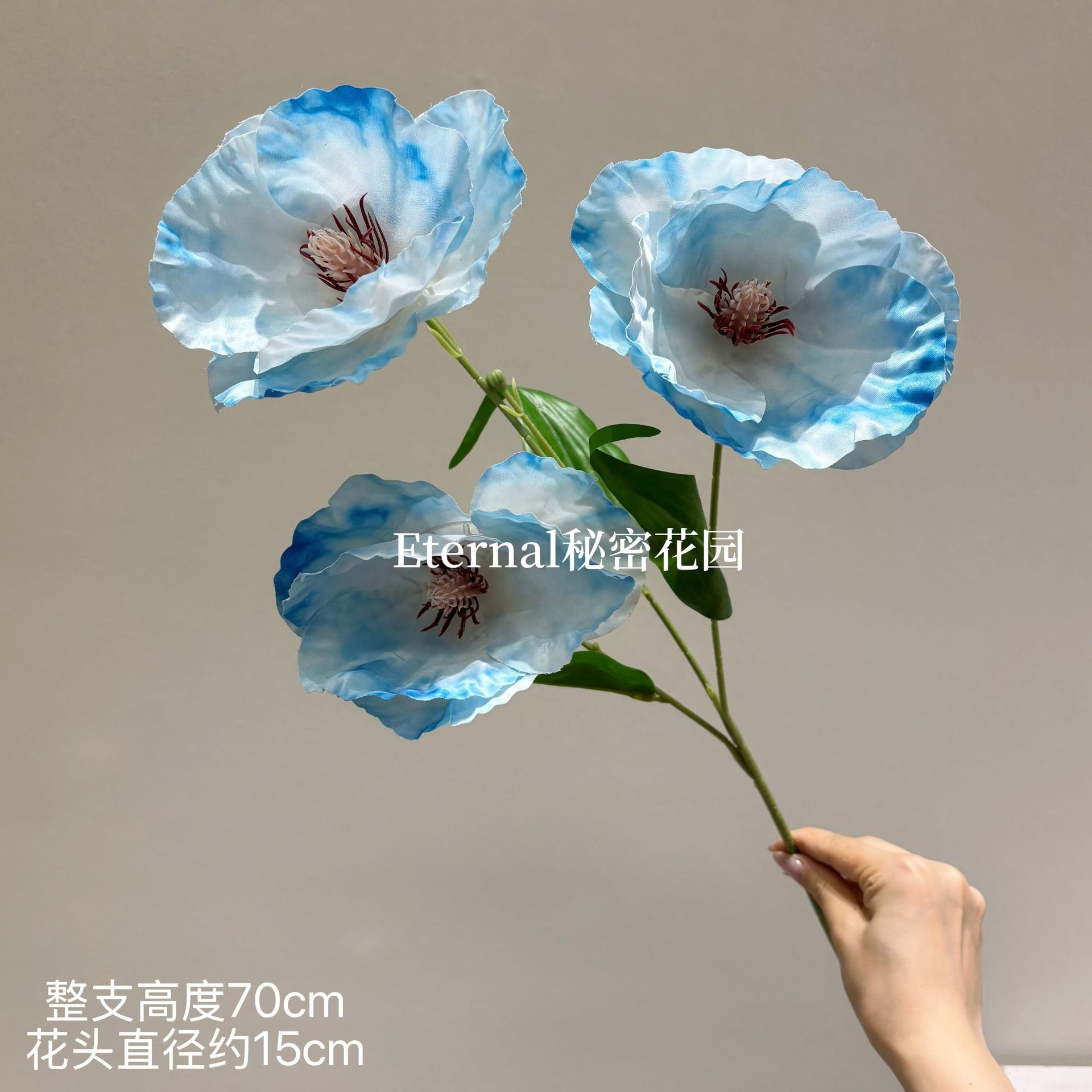 세 머리 양귀비