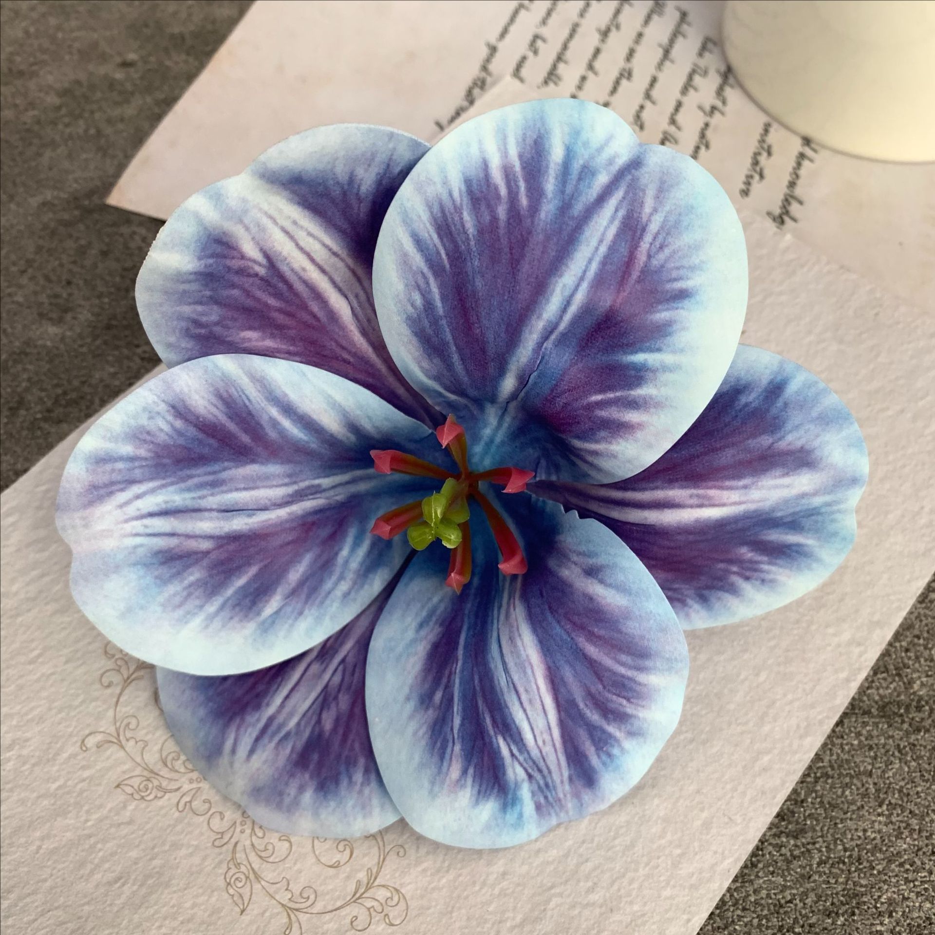 보라색 파란색
