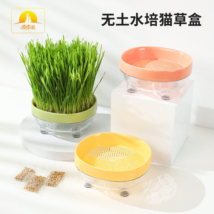 Z Pipi Tao Dundun Caja de hierba para gatos Juego de semillas de hierba para gatos hidropónica Crema para eliminar la piel para gatos Bola para quitar la piel Aperitivos para gatos