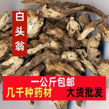 白头翁云南中药材白头翁 无硫白头草 白头公 奈何草 野丈人