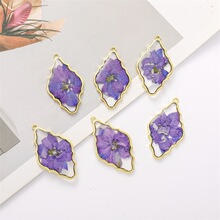 ֲ�ﻨ��͸�����z�ɻ����С���º��s���h���Ʒ����ϬF؛