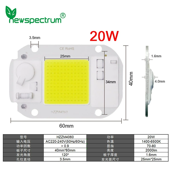 50W white light