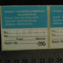 ��ɫ�����z���հ׿��ƾ�Ͳ�����z����������ԃ�ͷ�������