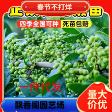 һlĴhԴٽ໨o̻Gtʳ