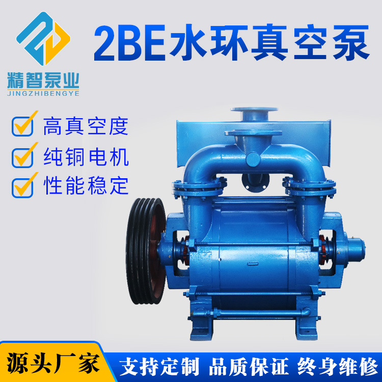 厂家直销2BE水环式真空泵气量大真空度高过滤机铸造冲浪设备专用