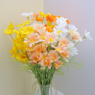 5�^С�r�շ�����ʾպ��m�����ϼٻ������Ҿ��b[�����S �����l