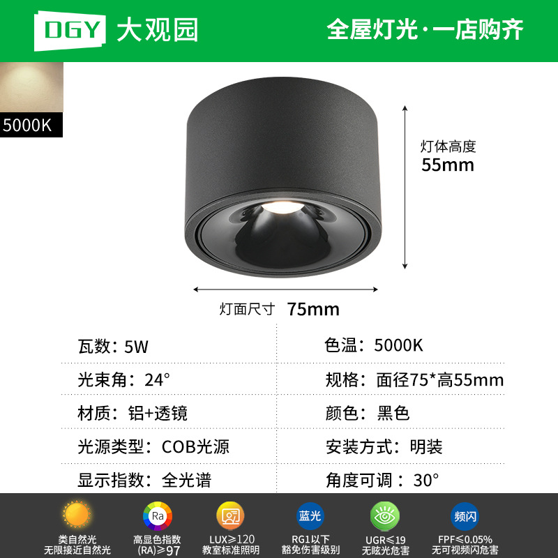 Da Guan Jardín luz de reflector anti-deslumbramiento colina sala de estar sin luz principal luz de techo downlight led corredor luz de techo 495L image 29