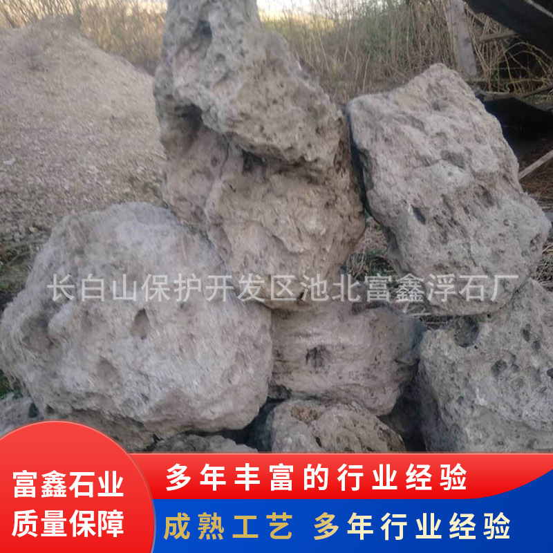 白色小块轻石颗粒浮石 30-40cm浮石 40-50cm水族馆造景用浮石