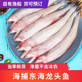 当季新鲜冷冻龙头鱼豆腐鱼九肚鱼水潺批发烧烤食材顺丰包邮