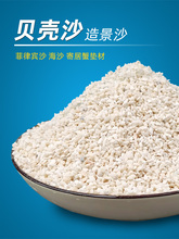 ��Ȼ�~�׵�ɰ�˹�ؐ��ɳ��ɳ�����eɳ�~���쾰�b����ľ�з�|��