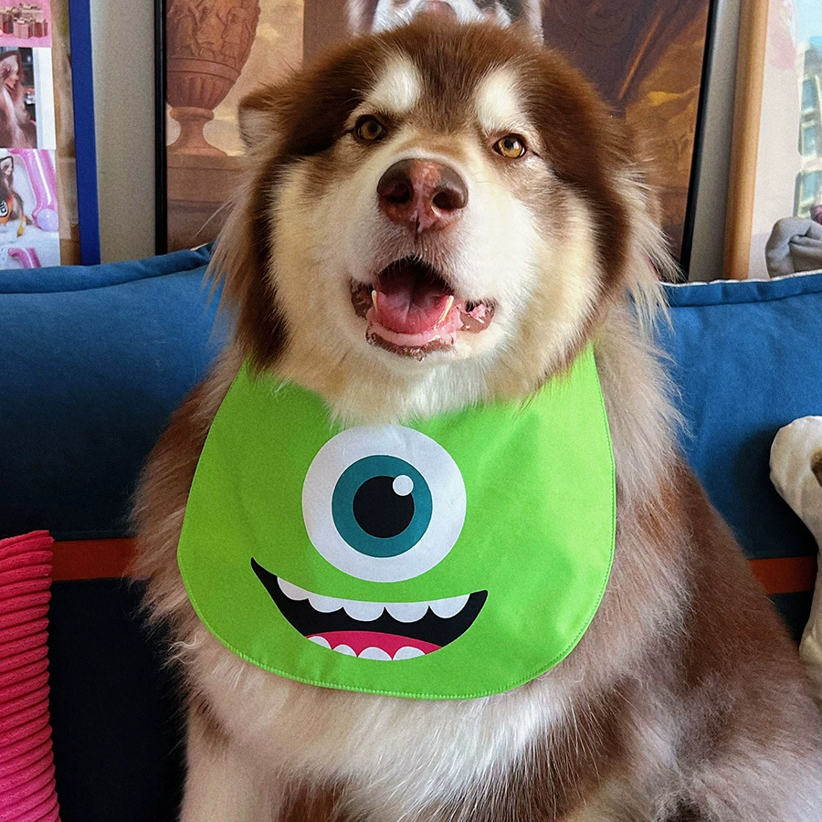 Большие глаза милые монстры домашние животные милые слюни