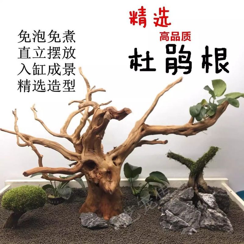 成品杜鹃木枝条鱼缸莫斯树枝一整套寄居蟹攀爬摆件沉木造景木爬宠|undefined