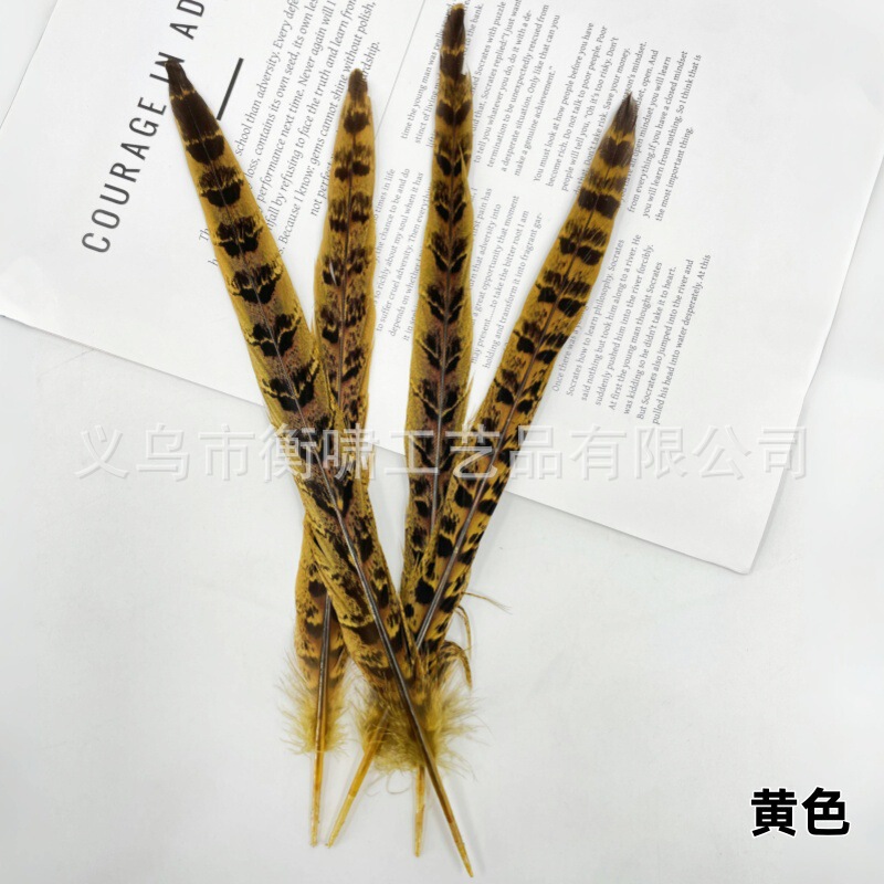染色彩色羽毛母山鸡尾野鸡毛DIY手工制作婚庆舞台材料服饰配件|undefined