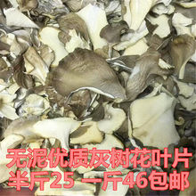 慶元灰樹花葉片碎片舞茸茶貝葉多孔菌灰樹菇片栗蘑香菇無泥沙250g