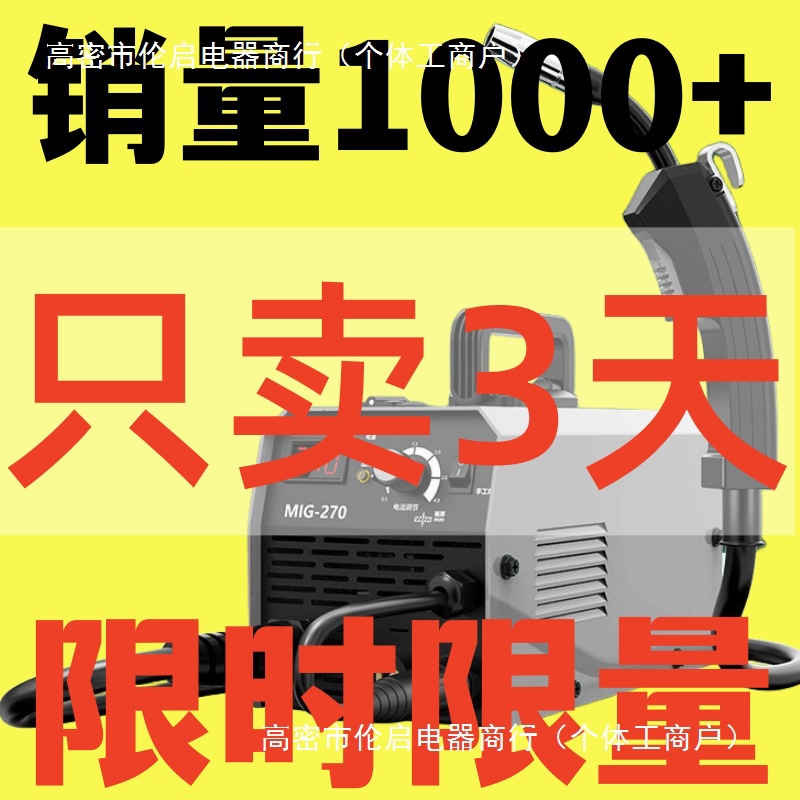 日本两用小型技术无气二保焊机一体220v德用气保焊机全自动