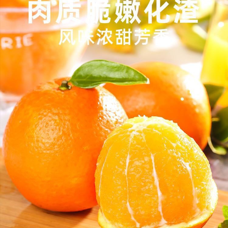 江西赣南DE脐橙10斤橙子装新鲜大果应当季水果冰糖甜橙5包邮