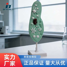数理教学器材;教学演示用品;生物教学器材