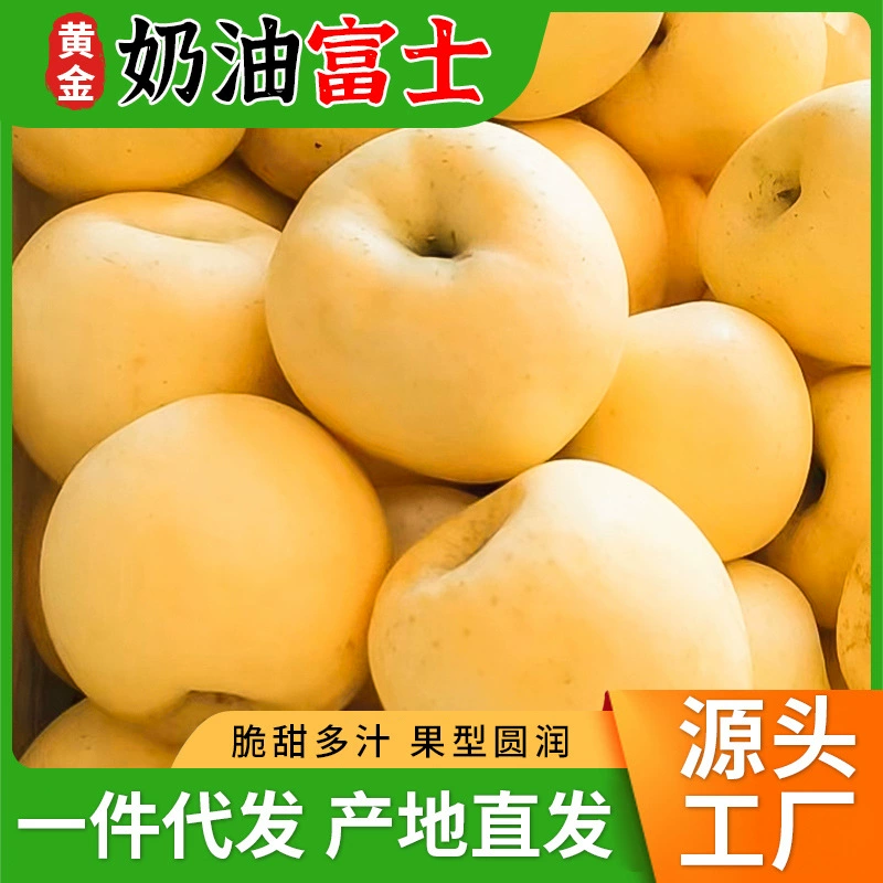 Оптовая поставка свежих яблок: 2.5kg целых коробки яблок Golden Delicious и Fuji напрямую от производителя из Янтайя.