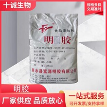 富源明胶食品级120-220动力果冻软糖皮冻增稠剂稳定剂 食用凝胶