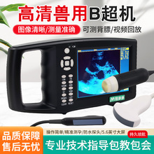兽用b超猪用b超兽用b超机高清大屏羊牛用b超彩色b超机羊牛用b超机