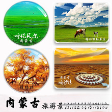 内蒙古旅游纪念品呼伦贝尔胡杨林满洲里坝上海拉尔呼和浩特冰箱贴