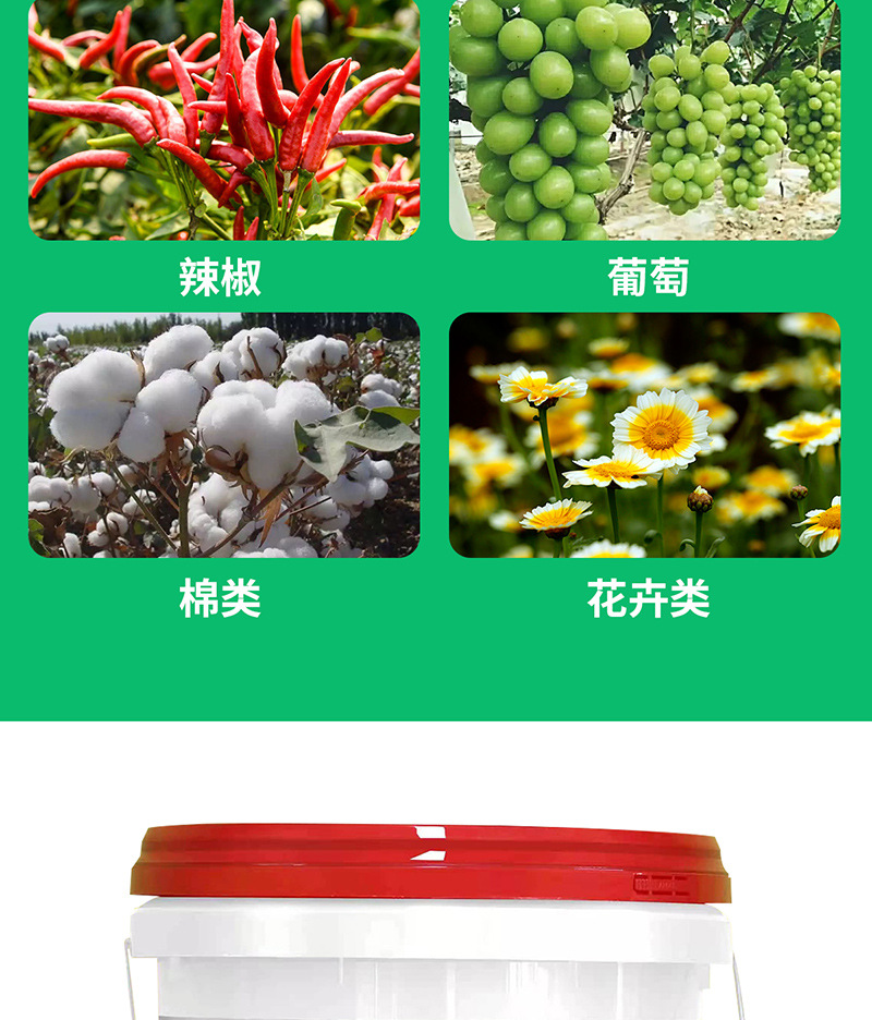 微生物菌剂_10.jpg