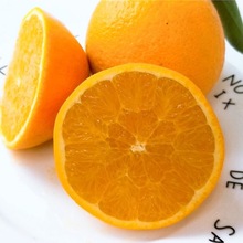 【现摘现发】秭归脐橙新鲜高山脐橙夏橙甜橙应季孕妇水果5斤10斤