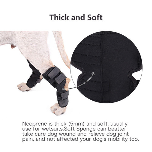Pet sports knee pads, dog surgery recovery, joint protection, pet knee pads, pet supplies, Shenzhen factory