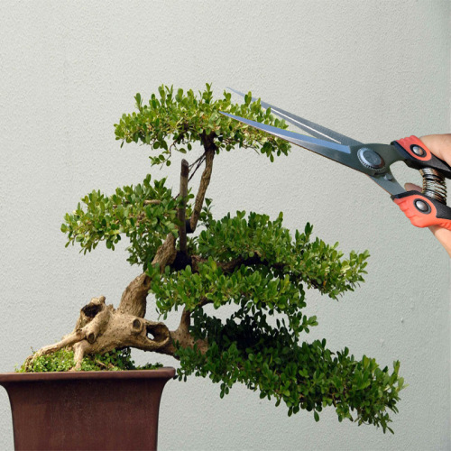 Factory Direct Wholesale Multi-functional Fruit Picking Shears Pruning Shears Fruit Thinning Red Garden Shears