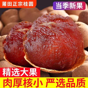 ���۹��A�Ɏ���������ڸ����خa������ؼ����؛��ˮ�������l
