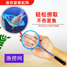小鱼网捞鱼网密网小渔捞渔网儿童捞鱼手抄鱼缸水族箱养鱼短柄鱼捞