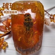 ������湤ˇƷ�˹����ꎧ�x��ϐ��֪���з�ڻ����x�˱��䘶�[��