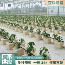 荷兰桶厂家供应 温室大棚无土栽培设施水耕基质蔬菜种植荷兰桶