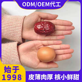 新货宁夏硒砂红枣1000g/袋特级枣子整箱批发大枣袋装OEM贴牌