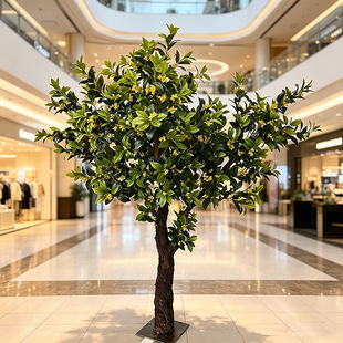 ����𻨘䶨������ʽ���ͻ�c��������b����m���������b���