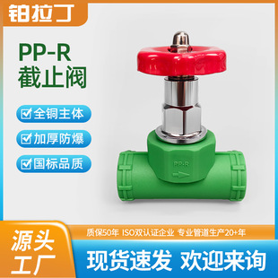 �GɫPPR������ֹ�y�Ӻ�ȫ�~���w���b��ˮ�ܵ�20/25�����_�P�y�T