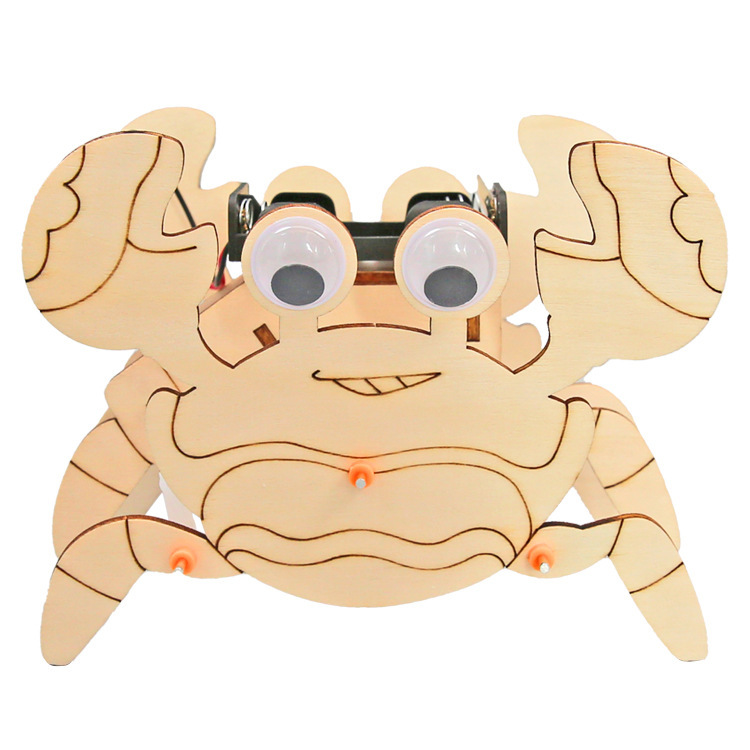 Fuente de fabricación de niños de la ciencia y la tecnología de los estudiantes de primaria pequeños experimentos pequeños inventos kits de materiales de ayuda didáctica