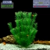 【43cm high】Thick cress