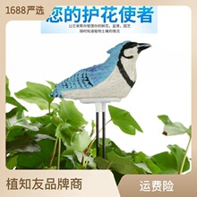 �羳���N��������ˮ�֙z�y�x���Ӌ�yԇ�x�����辰��ֲ