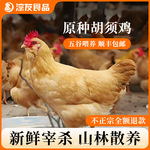 正宗原种200天胡须鸡山林散养土鸡整鸡新鲜黄油鸡煲汤火锅食材