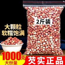 �͌���؛500g*2��؛�͌�Ƿ���V�|�ؑc�u�^�״Č��ɴ�t��޲��
