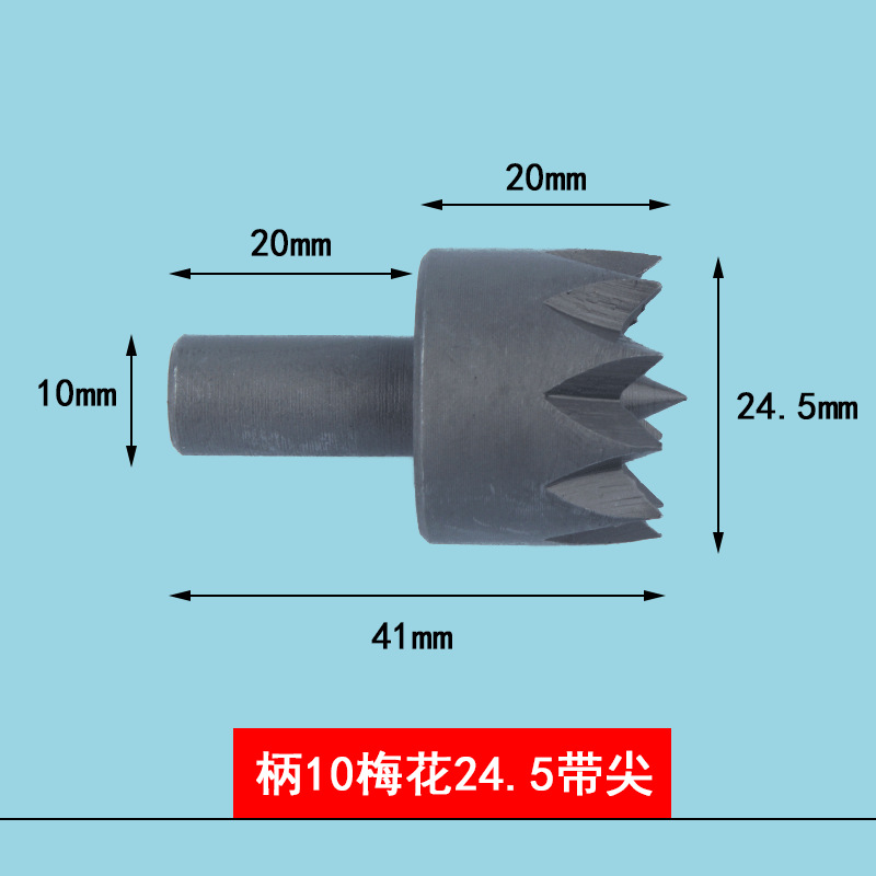 Handle 10 plum blossoms 24.5 with tip