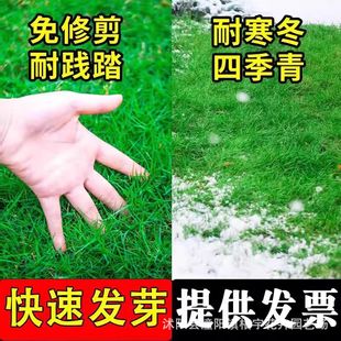 ��ƺ�N���ļ������ƺ�����ݹ����������ͥԺ�o�¾G����Ƥ�ݷN��