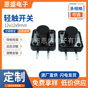 Ensheng Digital Touch Switch 12*12*9 Side Two-Pin Environmentally Friendly and High Temperature Resistant 12X12X9 Plug-In Switch 1212