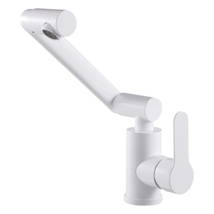 SUS304 Stainless Steel Washbasin Hot and Cold Lucky Cat Bathroom Household Washbasin Universal Swivel Faucet