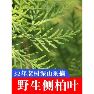 �Ȱ��~���]Ұ��5��ĂȲ�����~���r�Ȱ��~ɽ髰˽���������