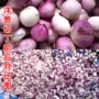 大型高速源头洋葱切丁机