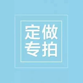 连衣裙;女式T恤;女式衬衫