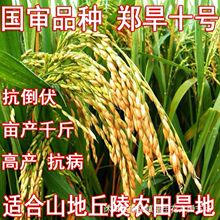 �����N�� ����10̖  ����Ŵ�׵�����53ɽ�����꺵�ز�����ˮ����