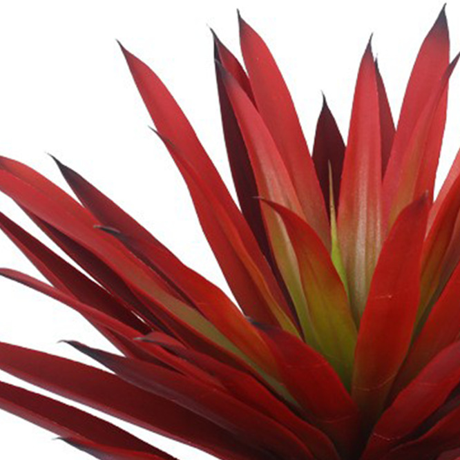 Simulación de agave de hoja roja, gladiolos, plantas en maceta, desierto, plantas verdes falsas, decoraciones de decoración de ventanas, paisajismo de plantas de simulación tropical